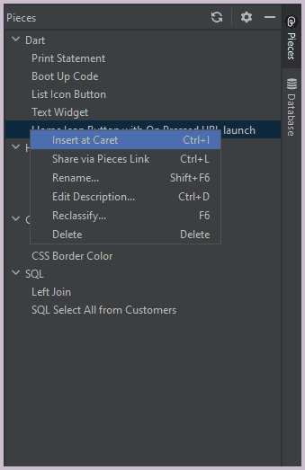 Additional functions available in Pieces for JetBrains.