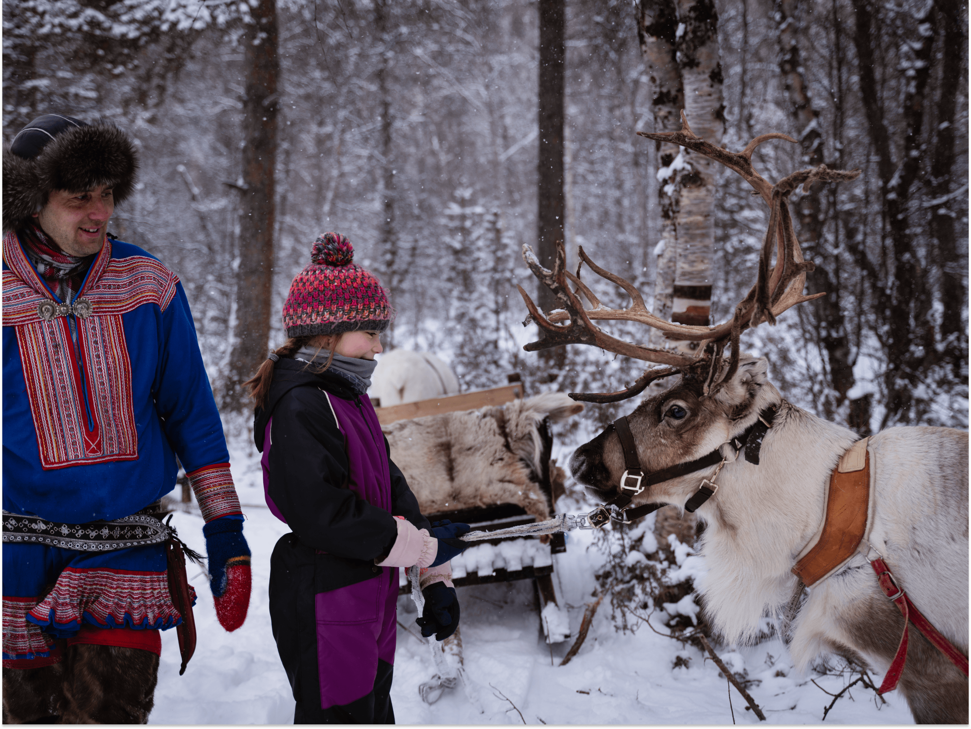 A Sami man and a child, with a reindeer
