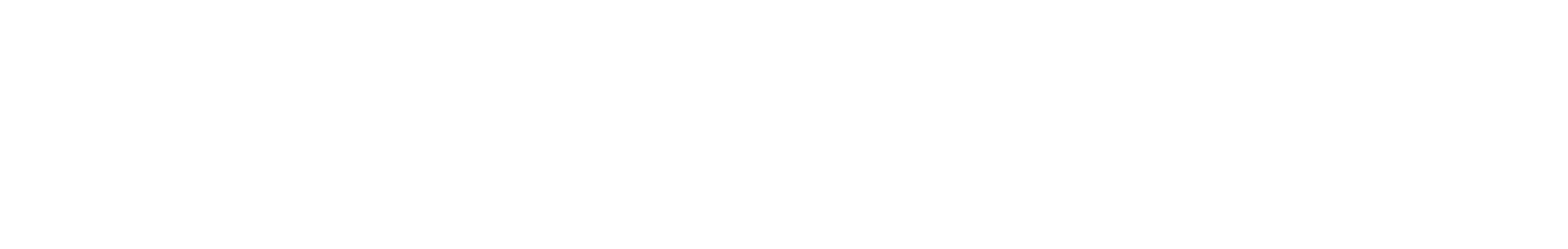 White logo of the template - Linie