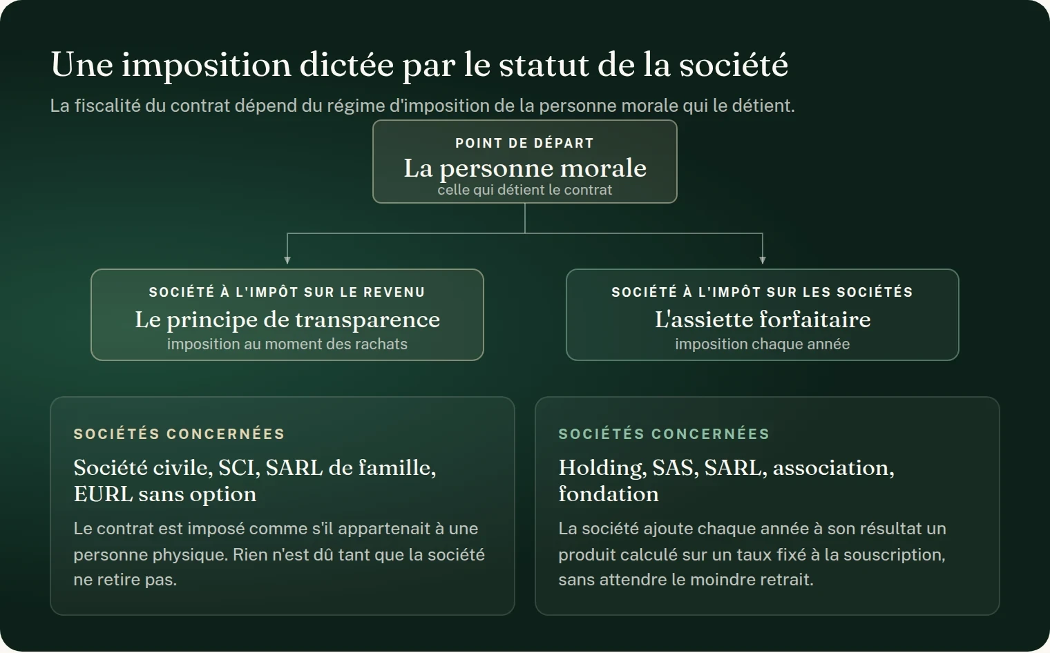 Schéma : une imposition dictée par le statut de la société. La personne morale qui détient le contrat de capitalisation relève de deux régimes possibles. Société à l'impôt sur le revenu, société civile, SCI, SARL de famille ou EURL sans option : principe de transparence, le contrat est imposé comme s'il appartenait à une personne physique, au moment des rachats seulement. Société à l'impôt sur les sociétés, holding, SAS, SARL, association ou fondation : assiette forfaitaire, la société ajoute chaque année à son résultat un produit calculé sur un taux fixé à la souscription, sans attendre le moindre retrait.