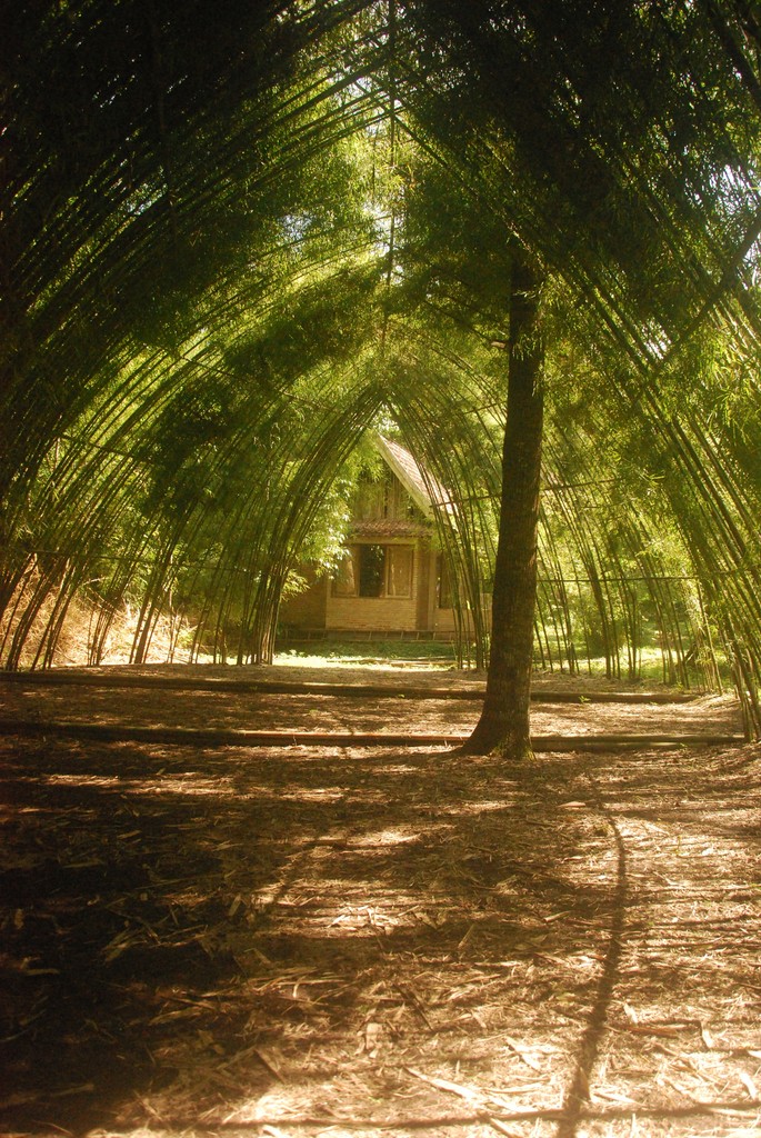 Yin Yang (Split Off / Sigaraning Penggalih) | Ruas Bambu Nusa