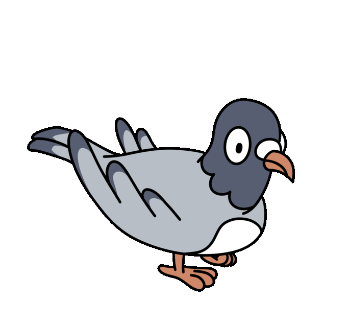 bird gif pigeon