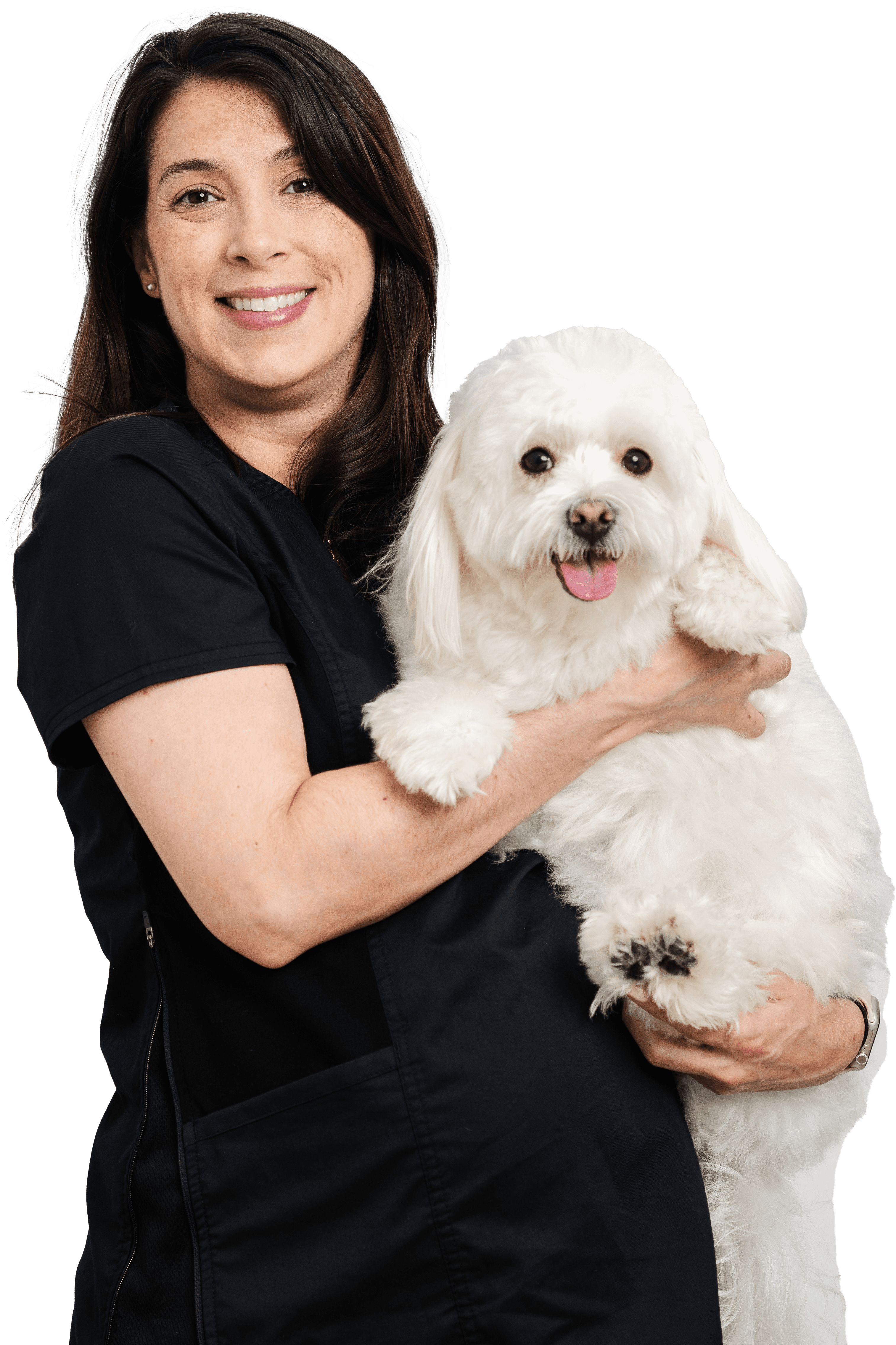 Get the best Vet care for your pet