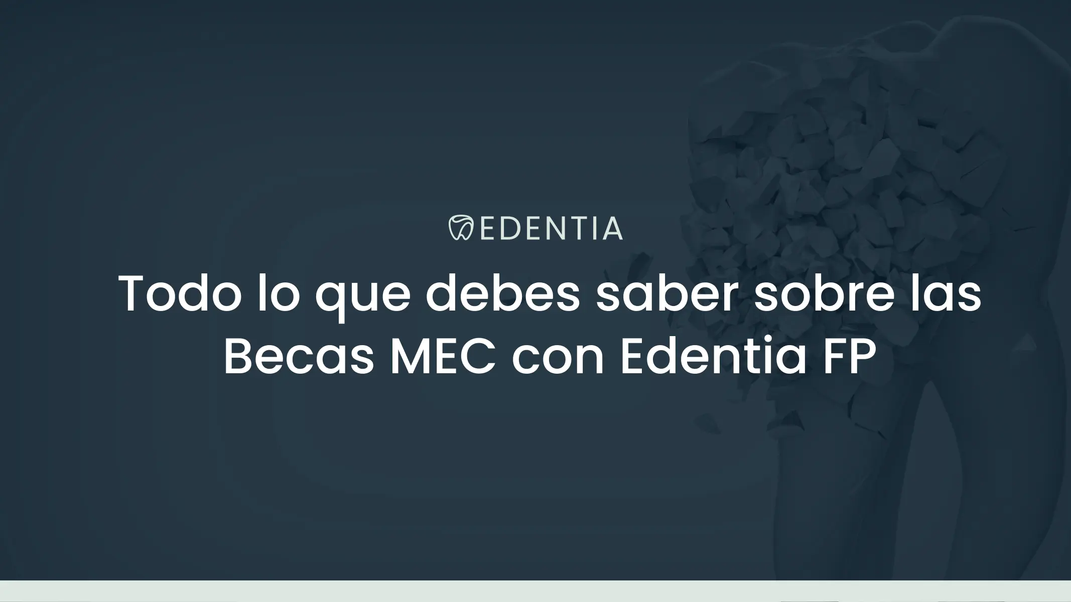 Todo lo que debes saber sobre las Becas MEC 2026/2027 con Edentia FP