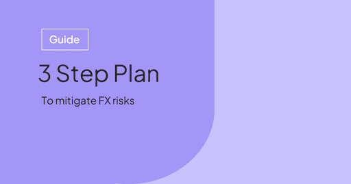 3 Step Plan to Mitigate FX Risks