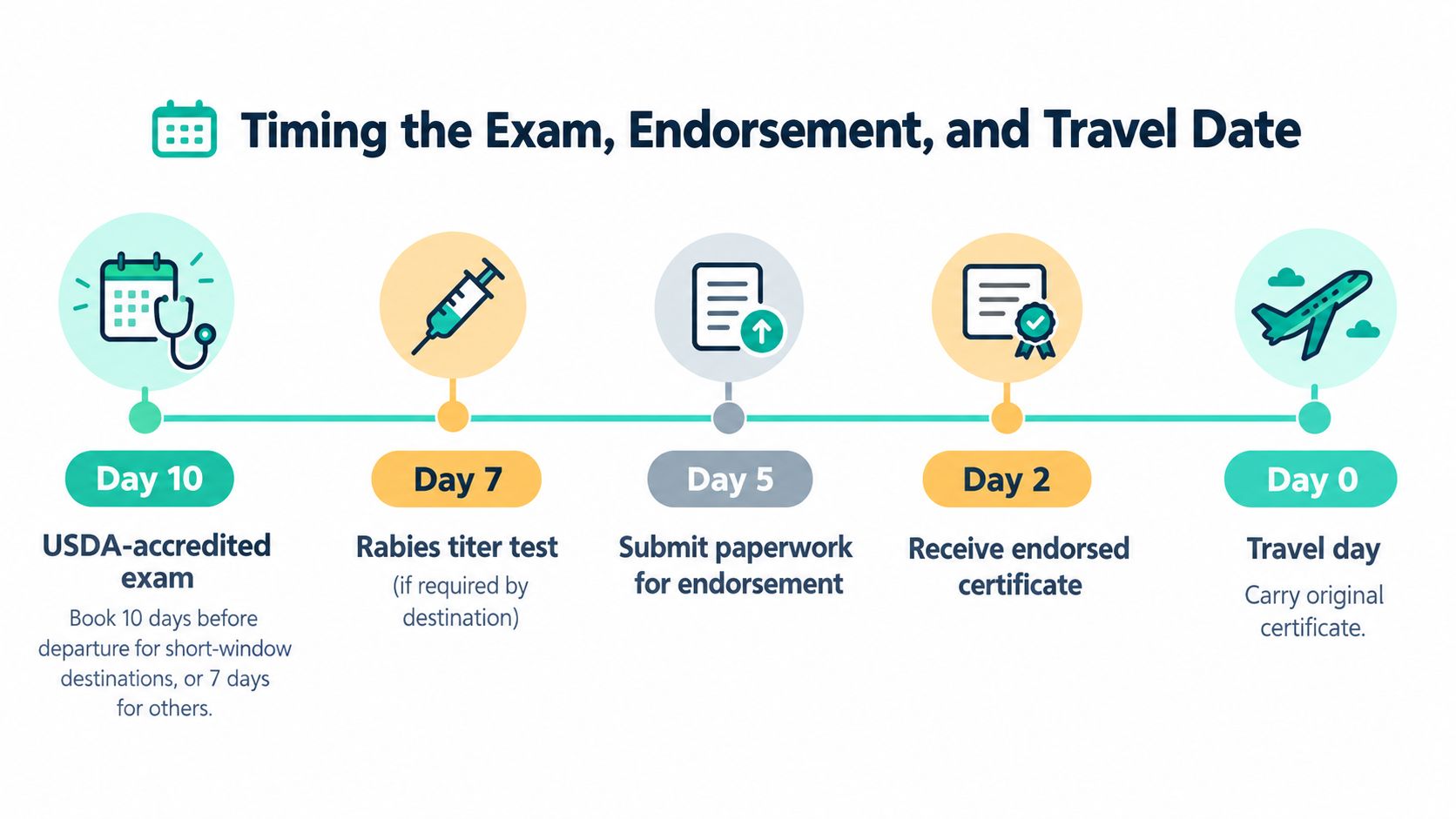 A timeline infographic detailing the required schedule for USDA health certificate procedures for traveling with pets.