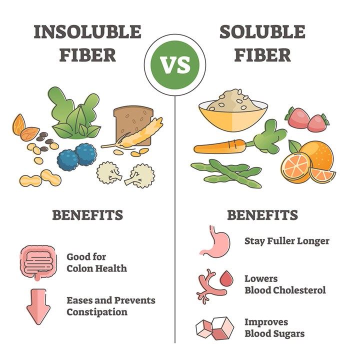 Soluble Vs Insoluble Fiber For Gut Health