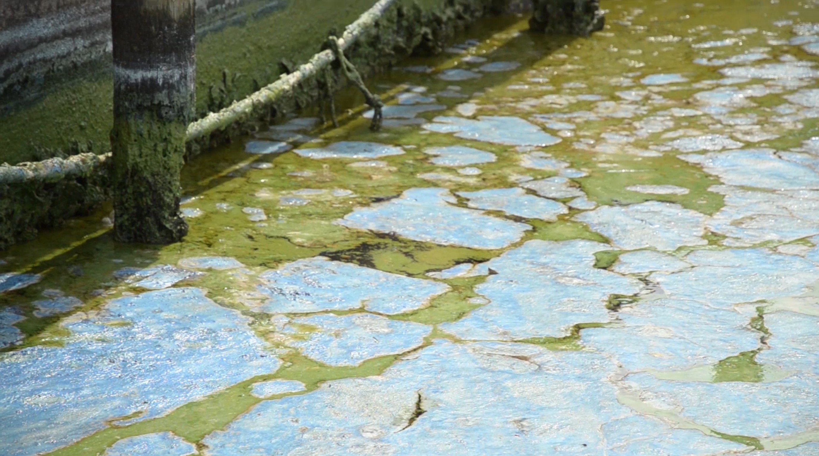 A smiling young man with crossed arms, wearing a plaid shirt and white t-shirt, poses against a dark background.