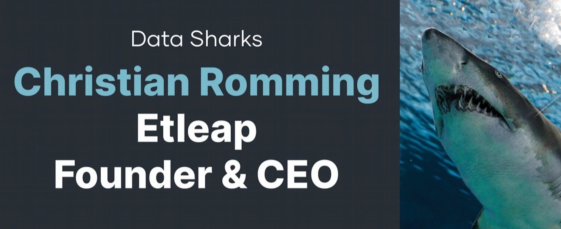 Data Sharks, Etleap and the rise of the citizen data engineer