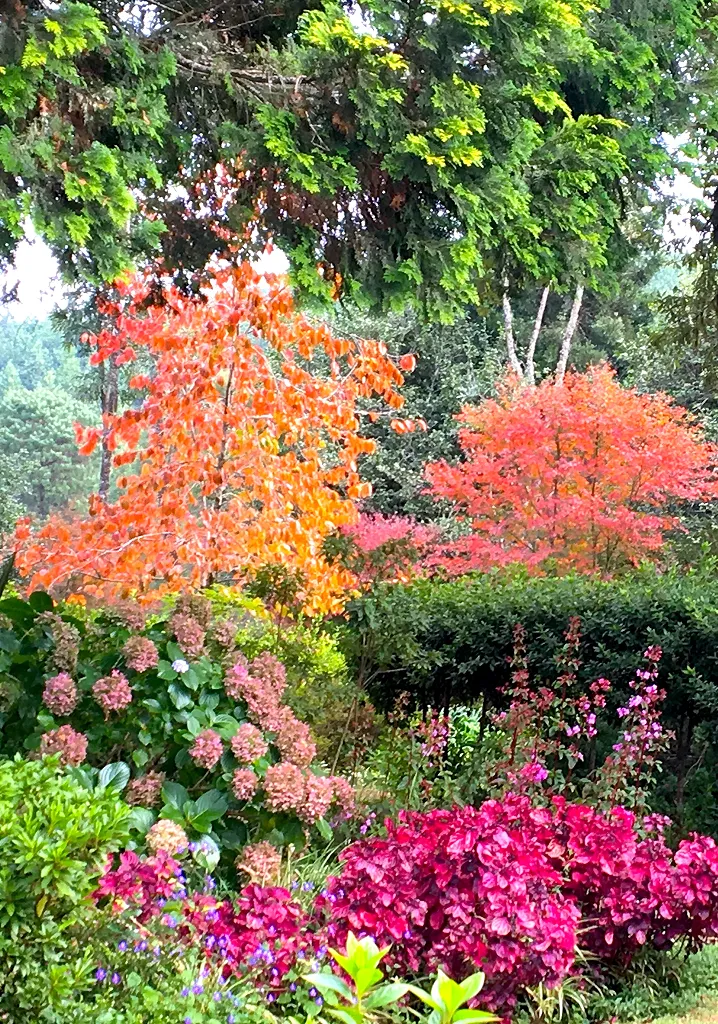 Kuhestan Autumn