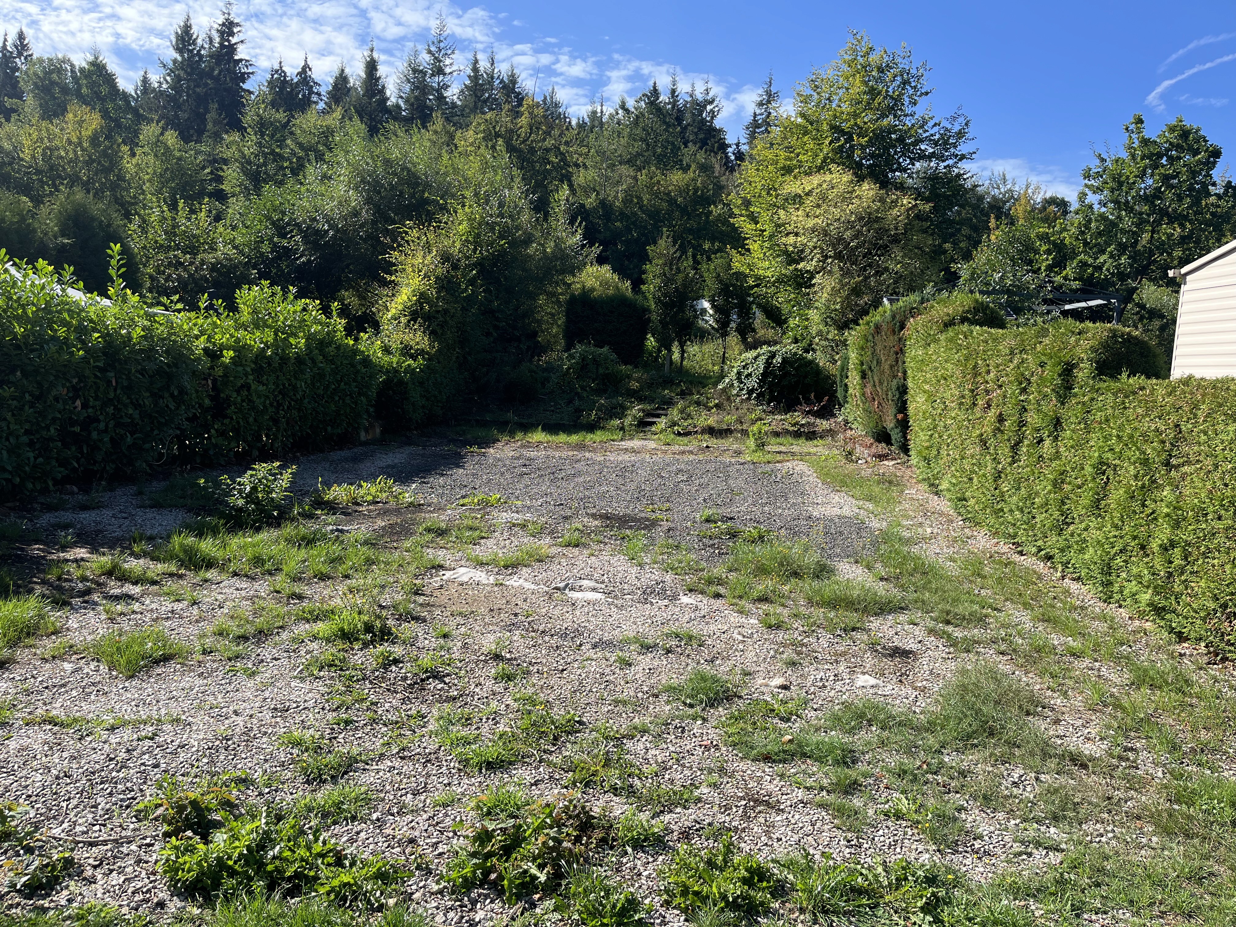 Stellplatz 81