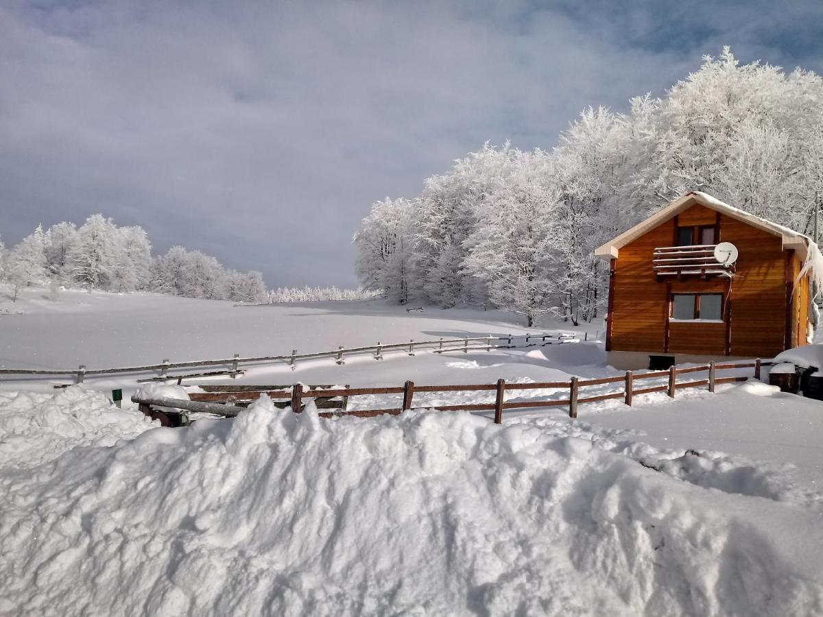 Slika vikendice Planinska kuca Petrovic na Tari