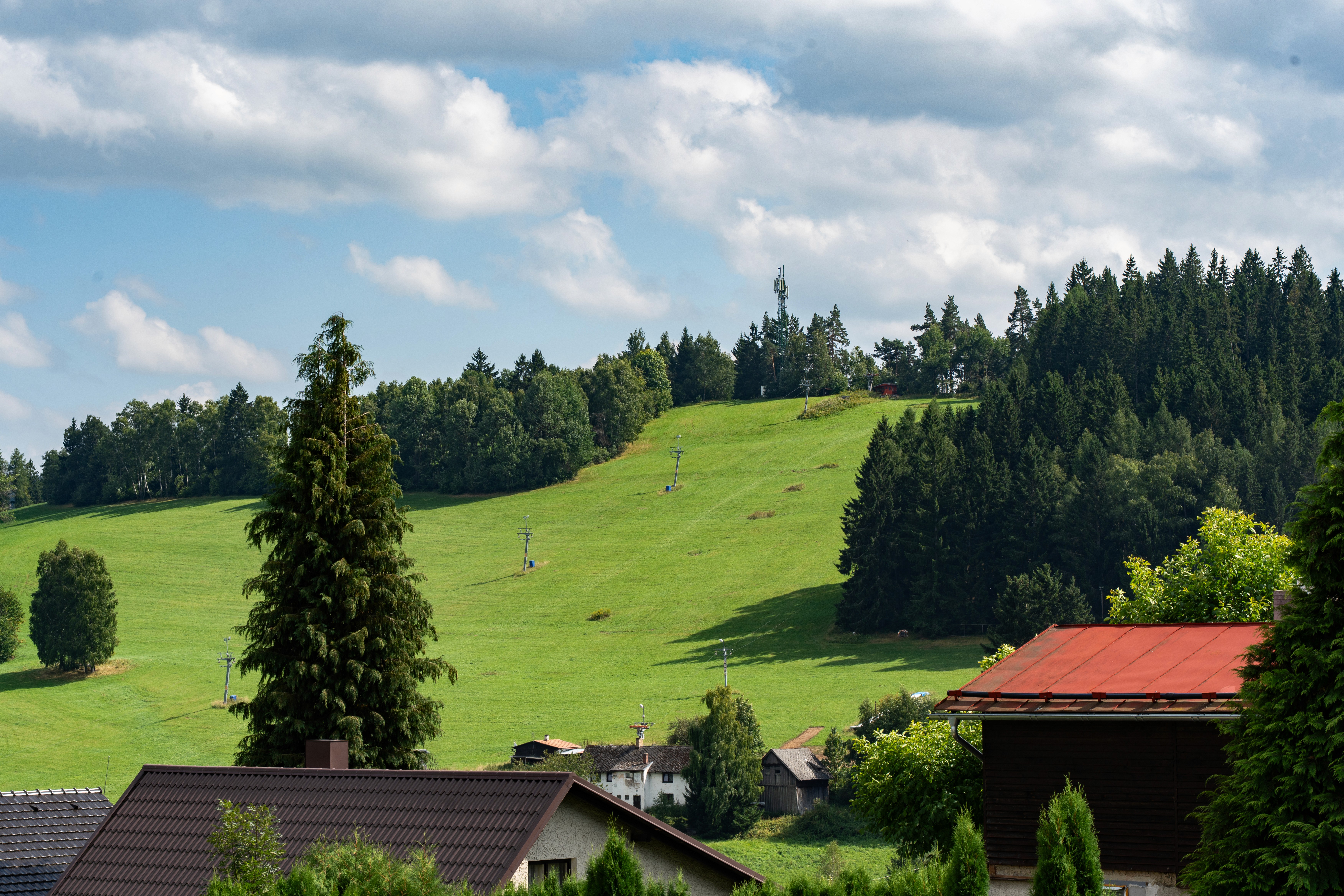 Here comes the alt text