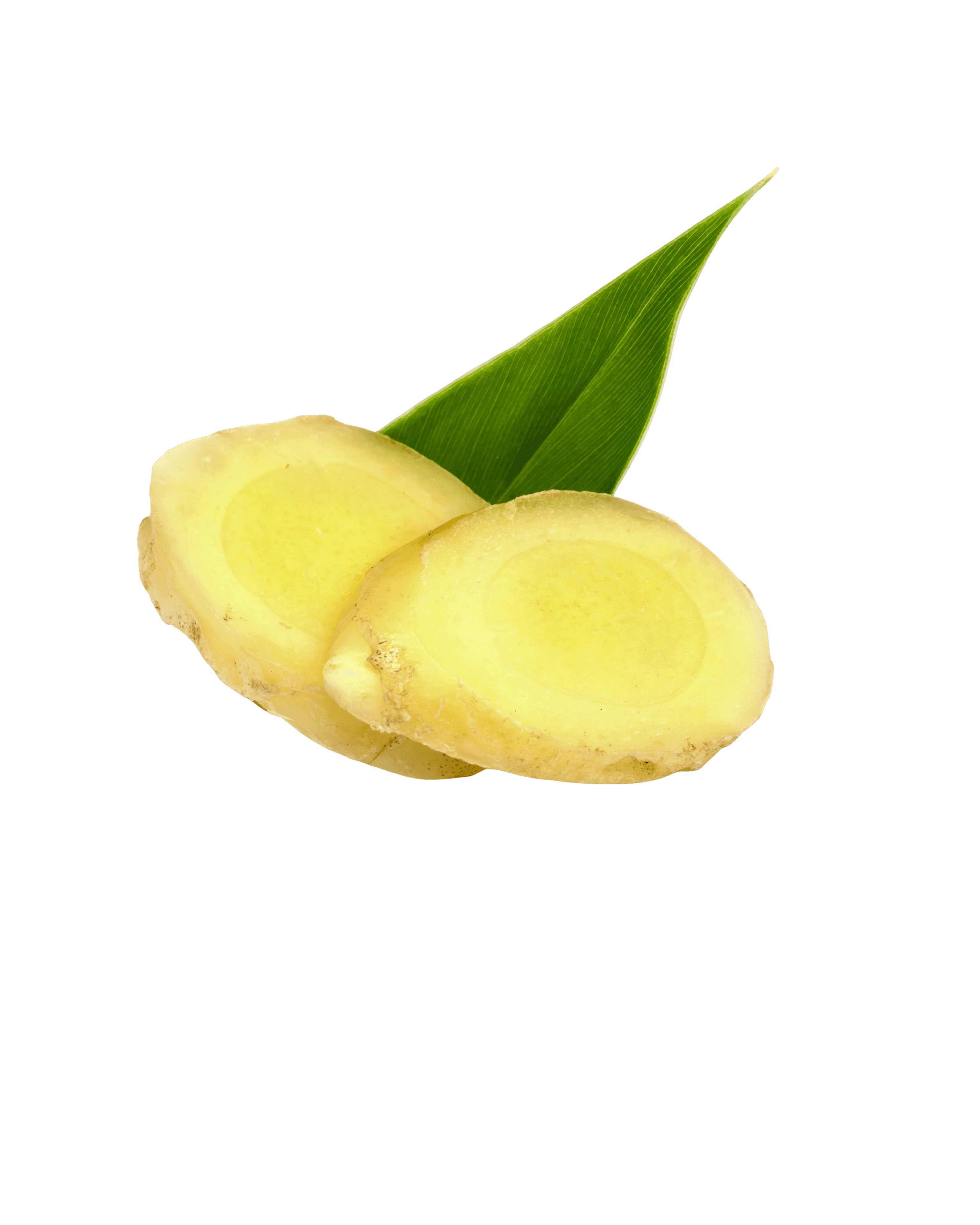garlic_3