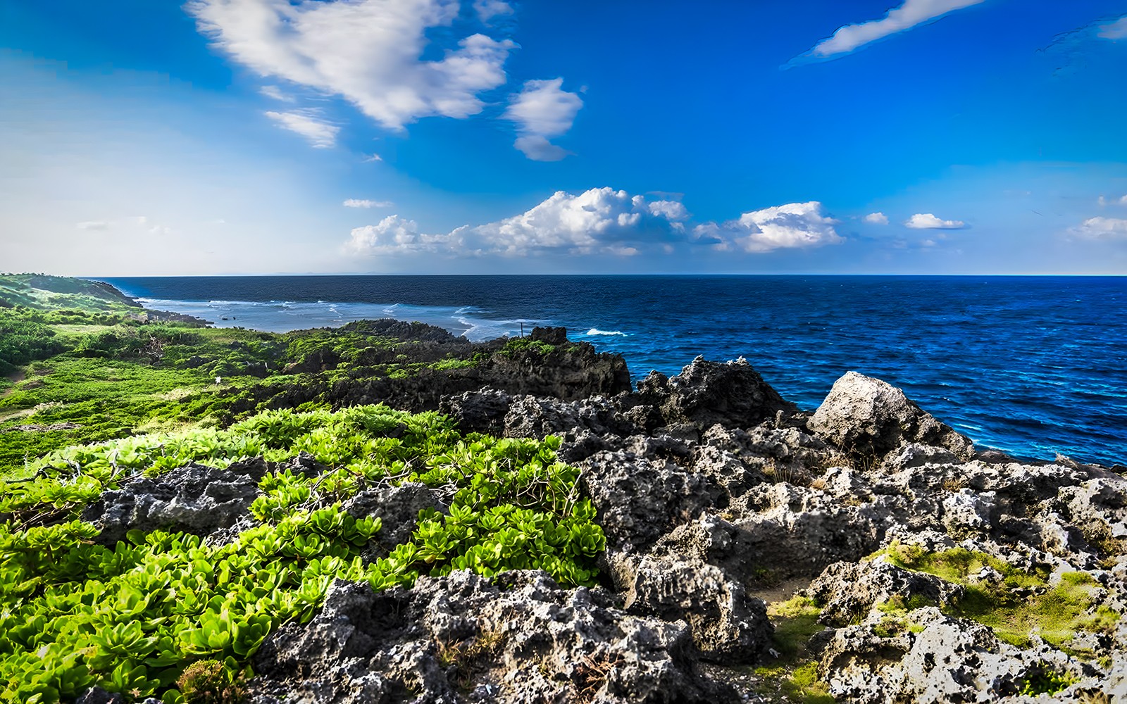 Rocky coastline with lush greenery and ocean view on Okinawa Hip Hop Bus Tour C Course.