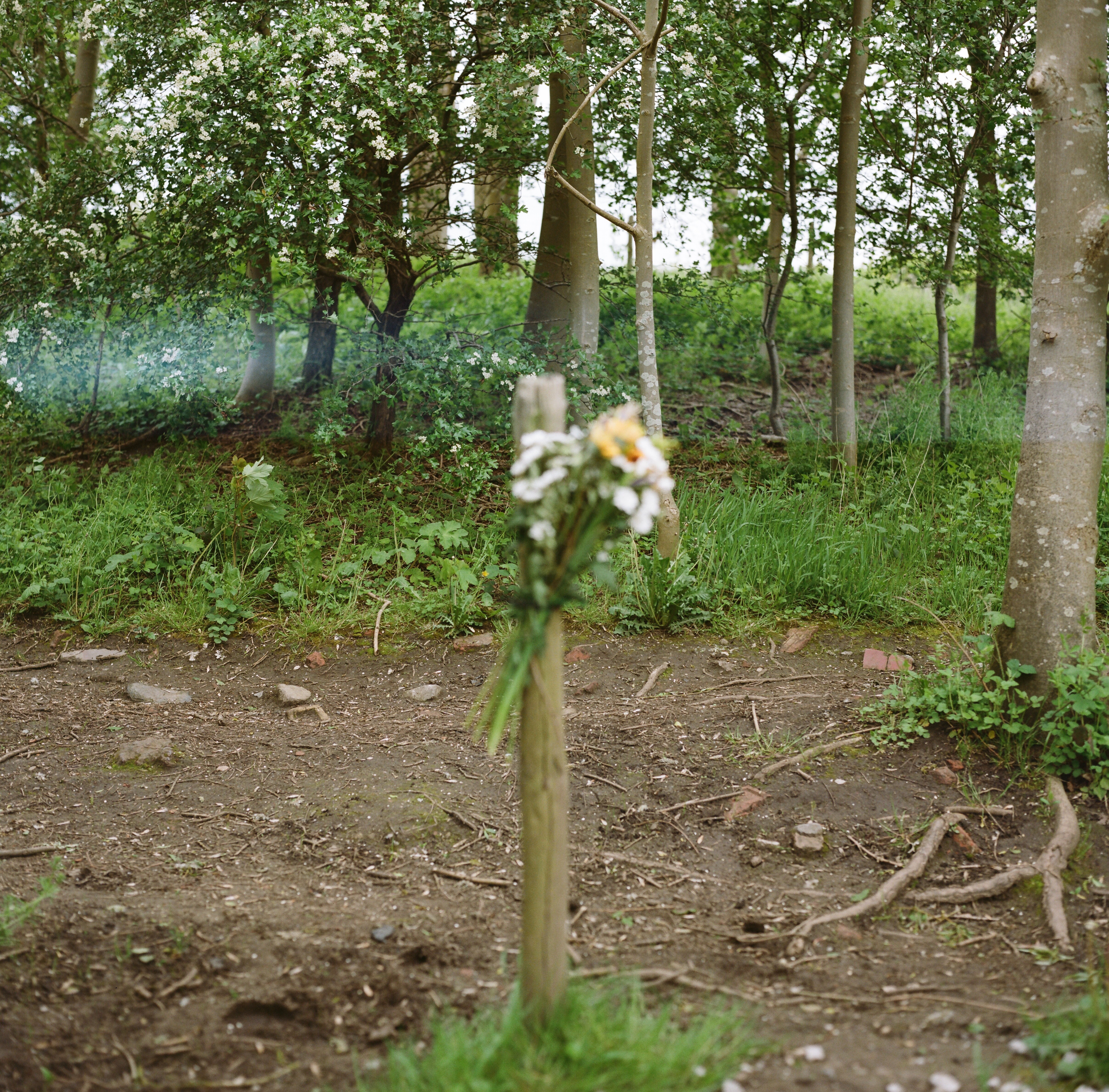 "John Carney Art" "john Carney Artist" "Contemporary art Manchester" "Contemporary Scuplture" "performance art"
