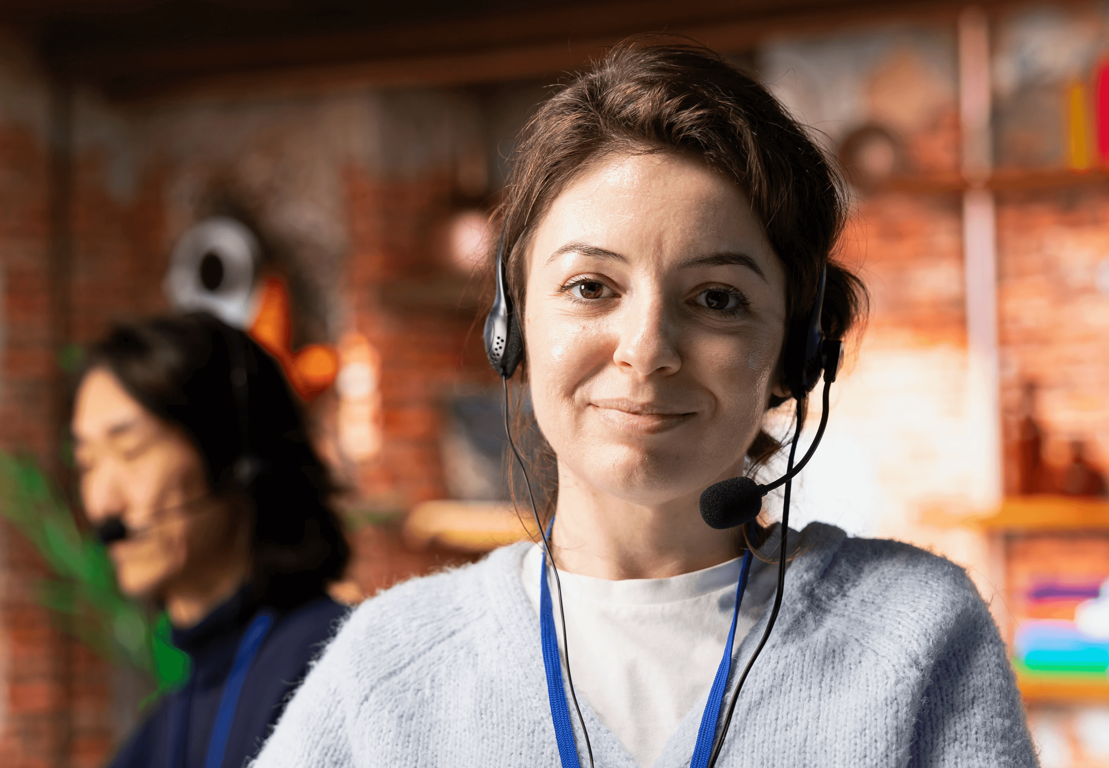 An image of Freelio's project ui