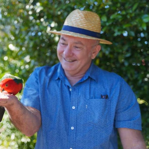 Lamington National Park, O'Reilly's & Vineyard: Day Trip from Gold Coast tickets in Natural Bridge