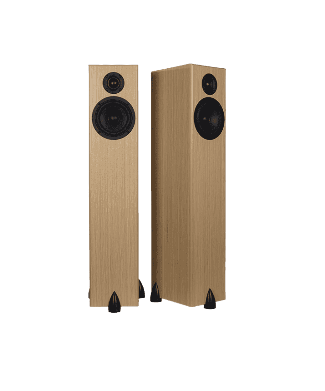 Totem Bison noir - LE STUDIO HIFI