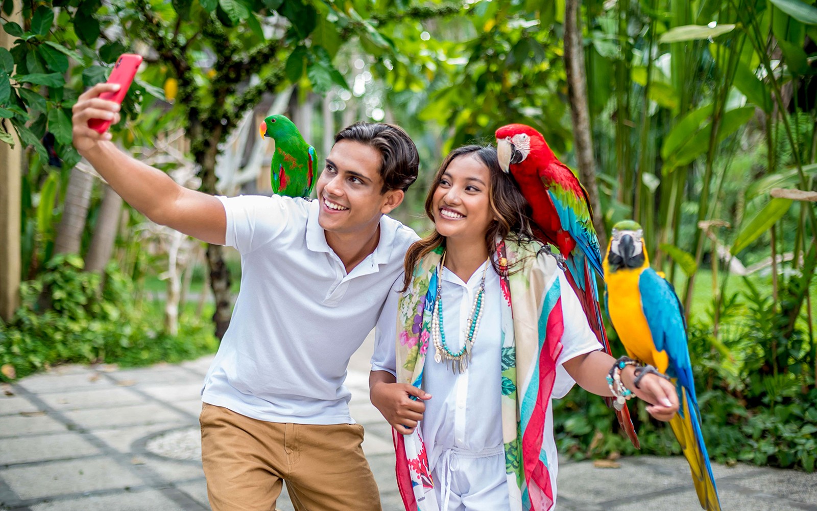 Bilhetes para o Bali Bird Park para Residentes Não-Indonésios, apresentando aves exóticas num ambiente tropical e exuberante