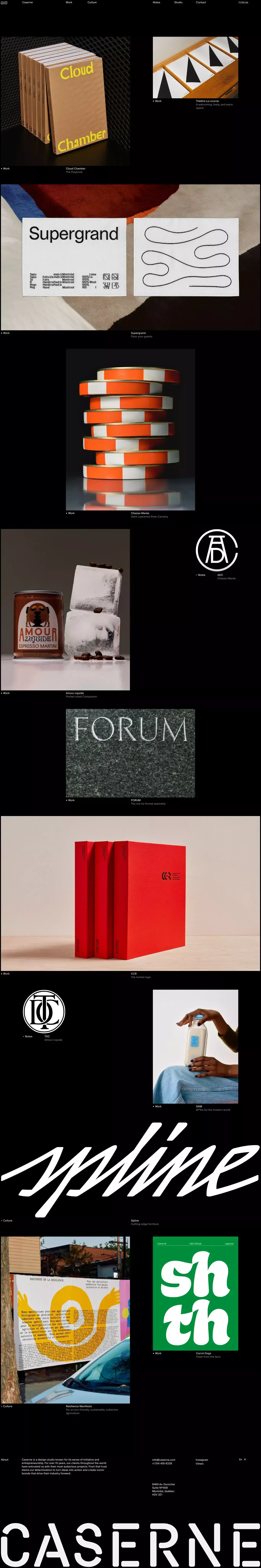 Caserne portfolio page screenshot showcasing Design design