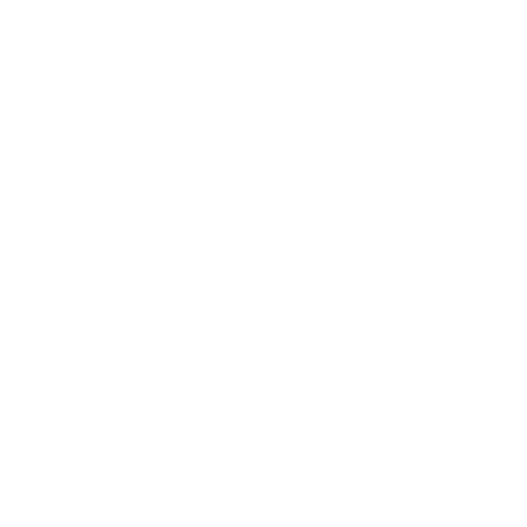 video icon