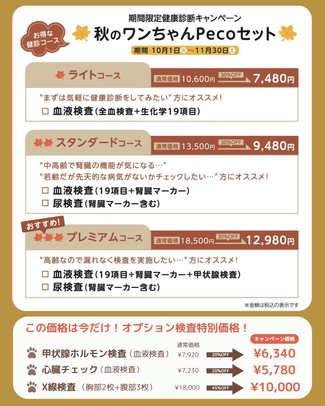 秋の健康診断キャンペーン（ライトコース7,480円、スタンダード9,480円、プレミアム12,980円、オプション検査あり）