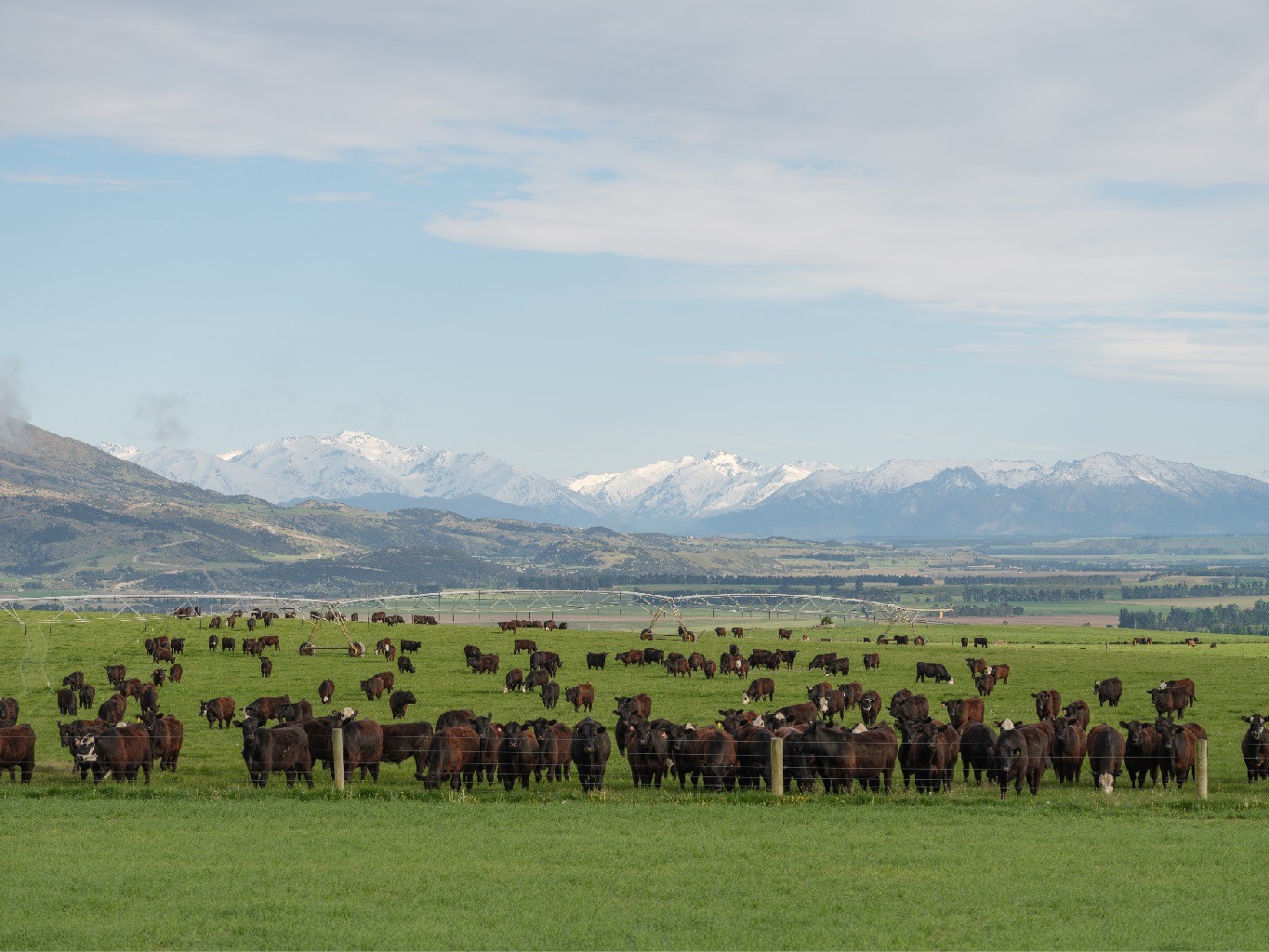 Alpine Pastures Group