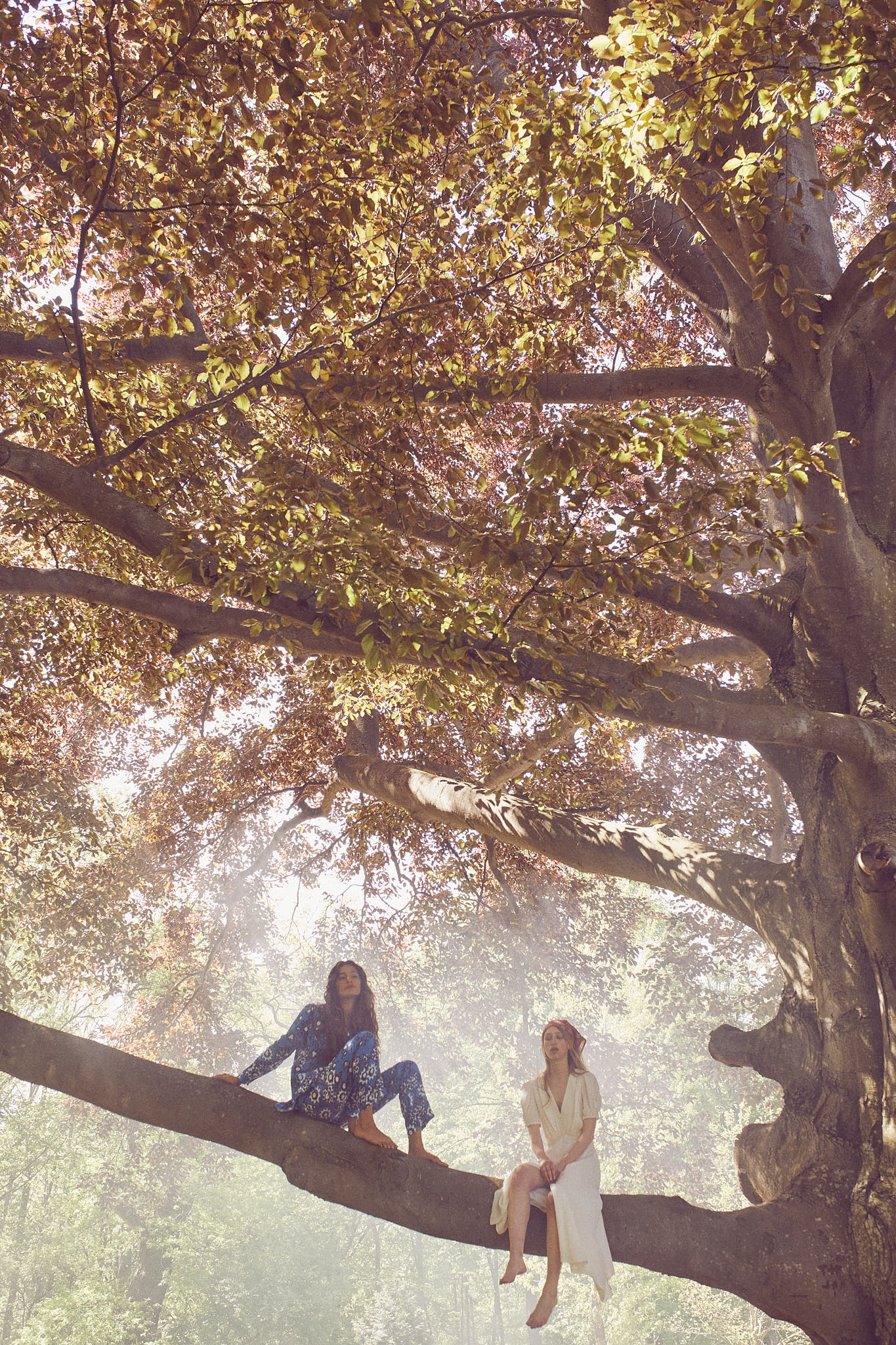Miriam Ad, Apollonia Stoisits, Maja Holm for Saloni by DIE iDA