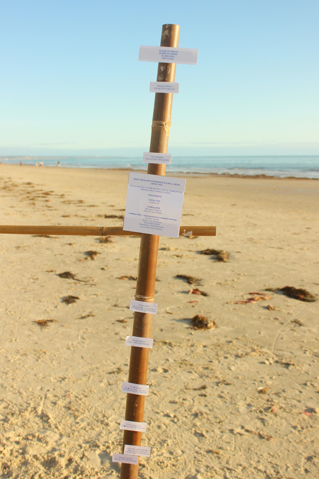 ocean uprise x parley for the oceans internship project - selina donohoe - sea level rise predictions 