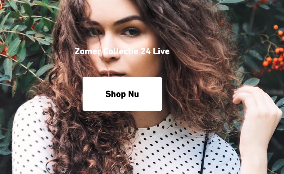 snapshot of the home page hero section