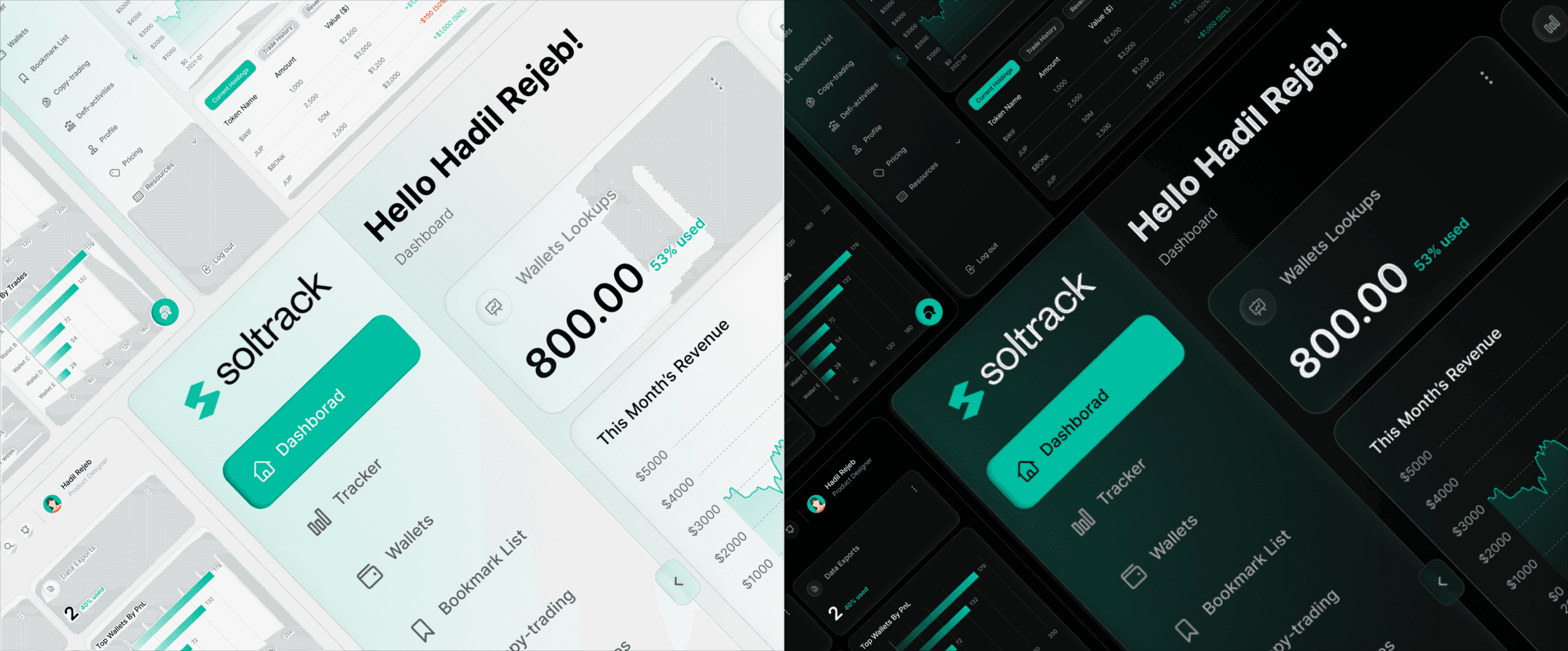 Soltrack | Token-Level Wallet Analysis