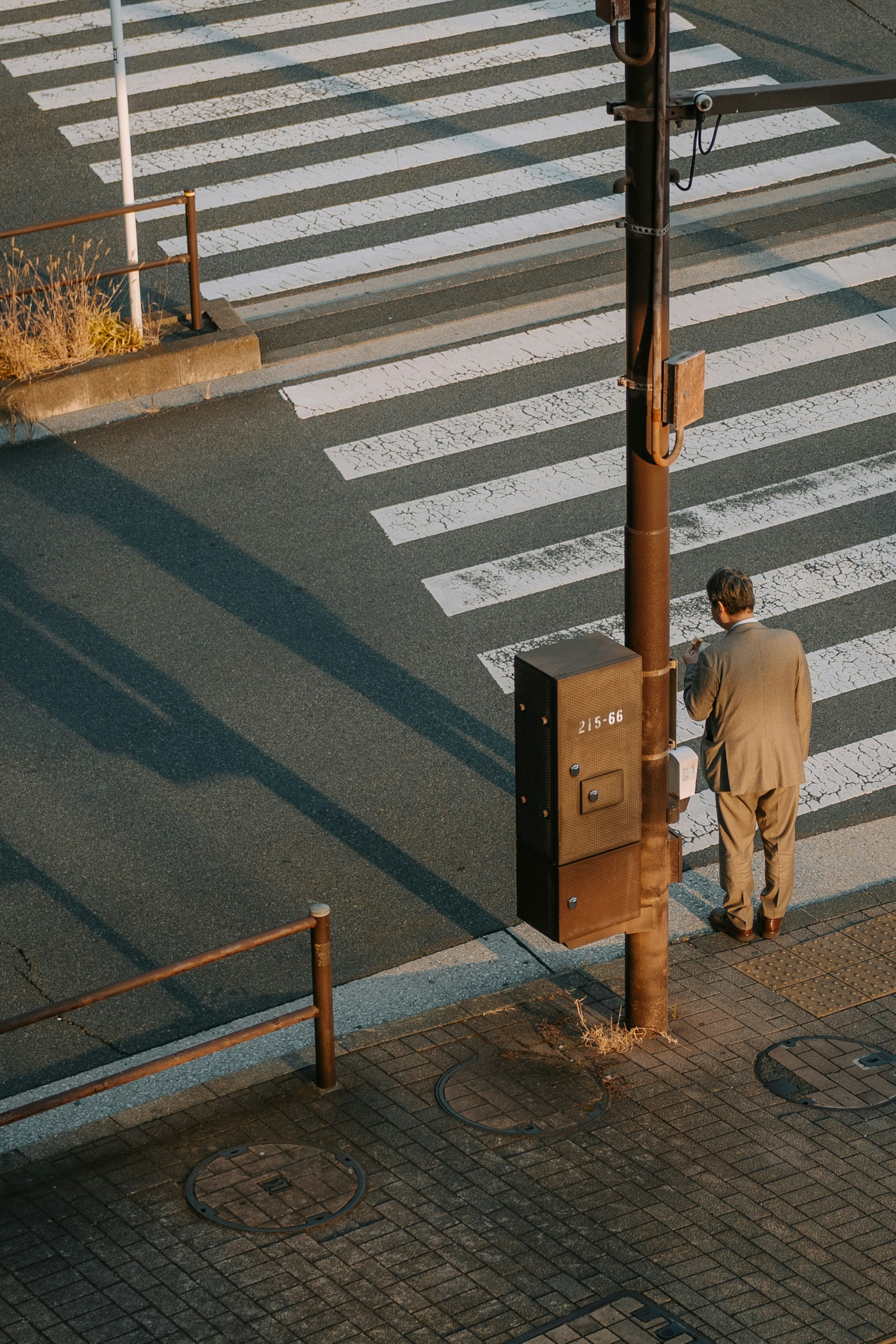 Man standing at a crosswalk near a traffic light pole
