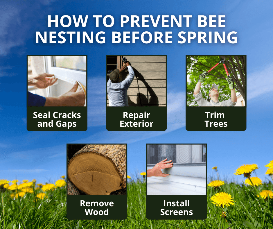 how to prevent bee nesting before spring