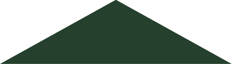 Vector