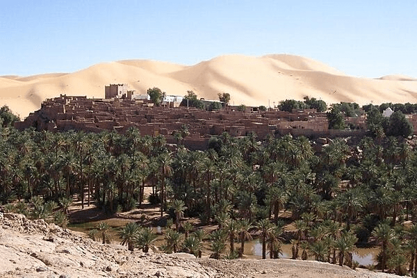 A town with palm trees in front and large sand dunes in the back.