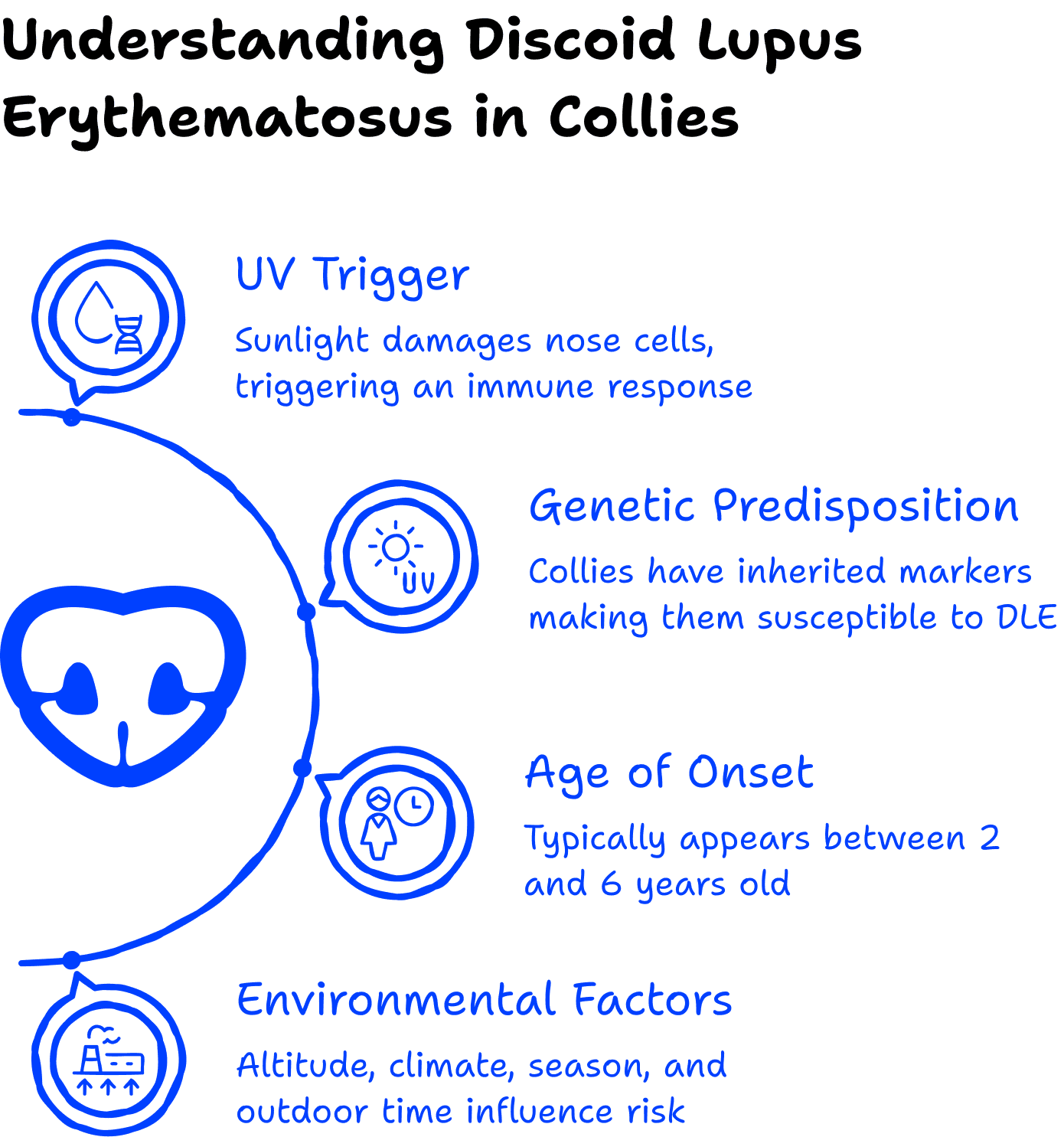 Understanding DLE in Collies