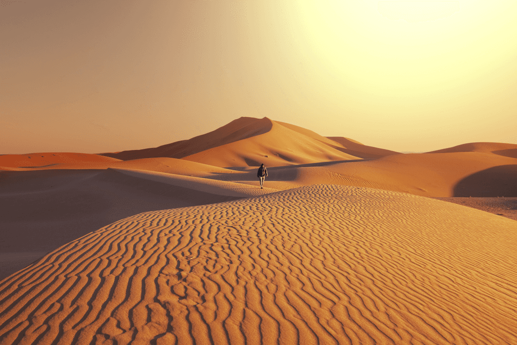 Beautiful namib sand dunes at sunset