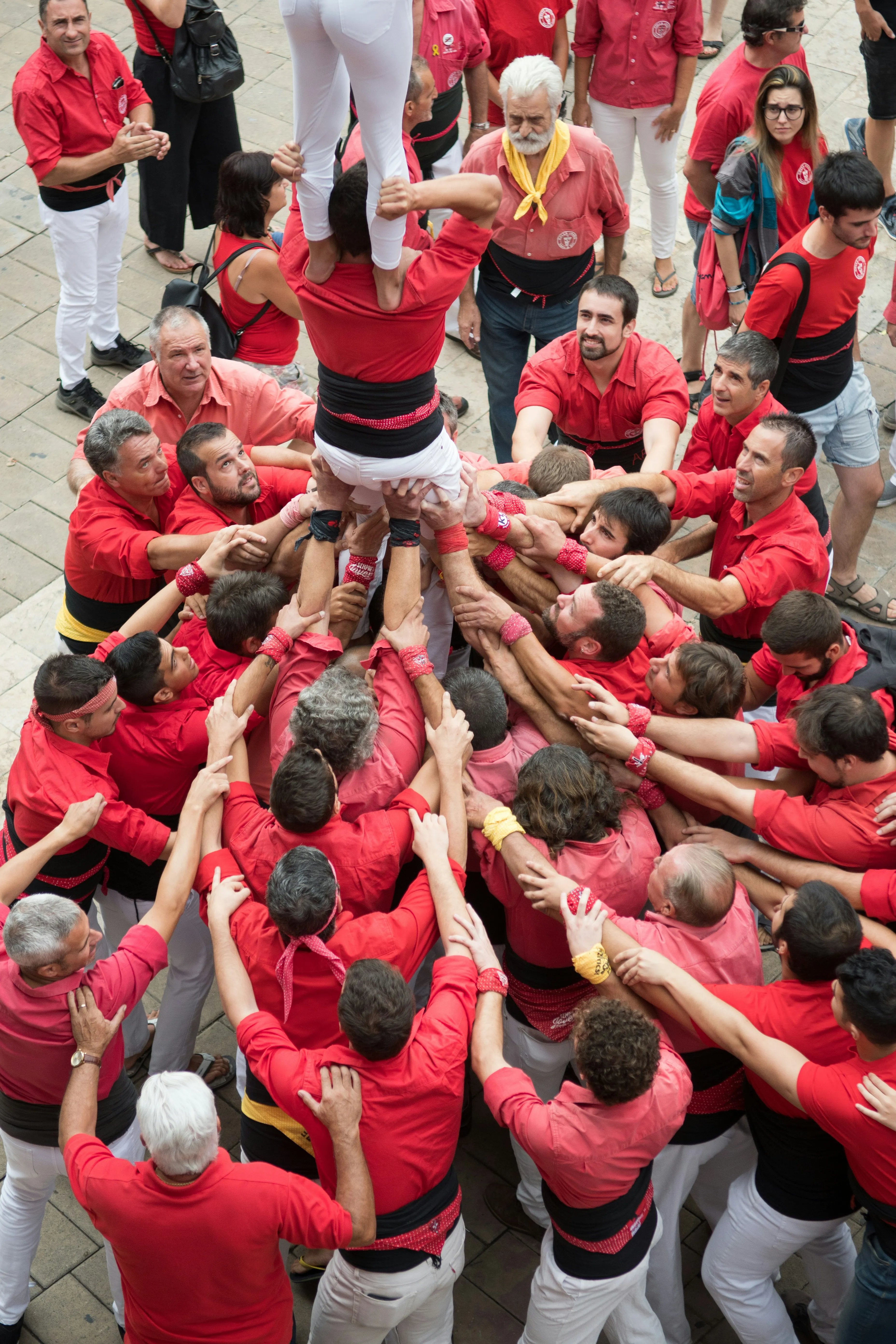 Volunteer Organizations