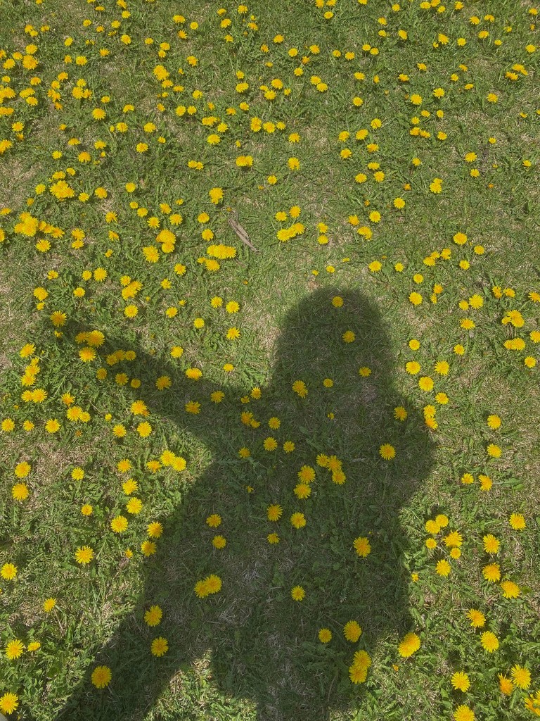 A woman lying on a massage bed, illuminated by soft sunlight streaming through a nearby window. A lush green plant in the background enhances the peaceful and rejuvenating ambiance.