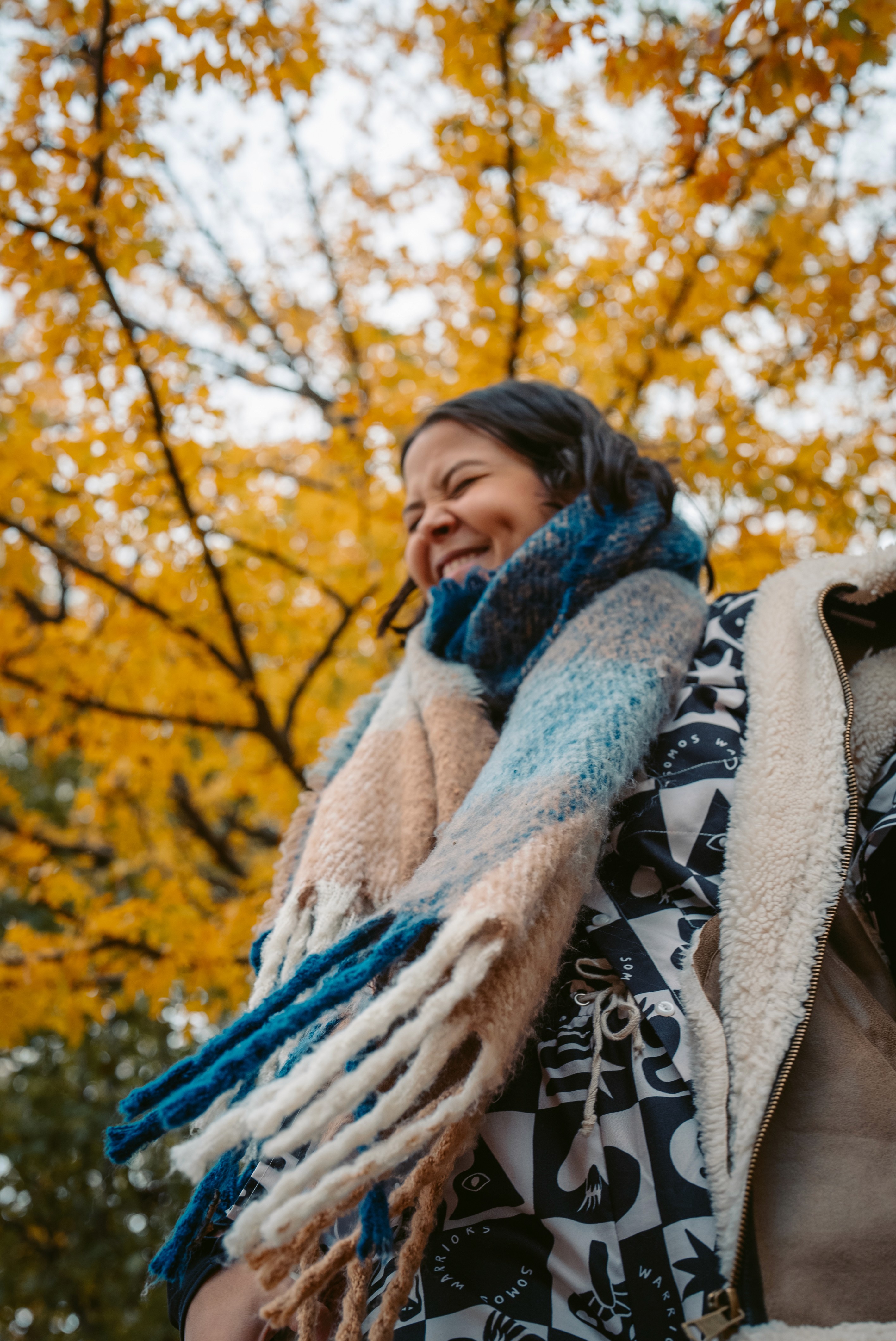 Here comes the alt text