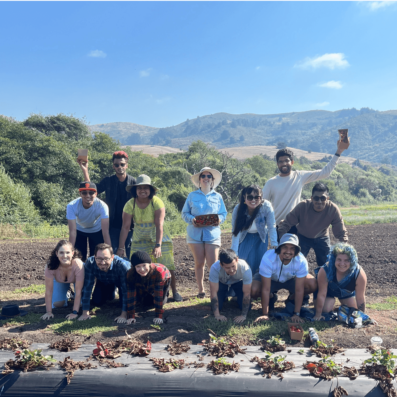 Silicon Valley Vipers go strawberry picking 