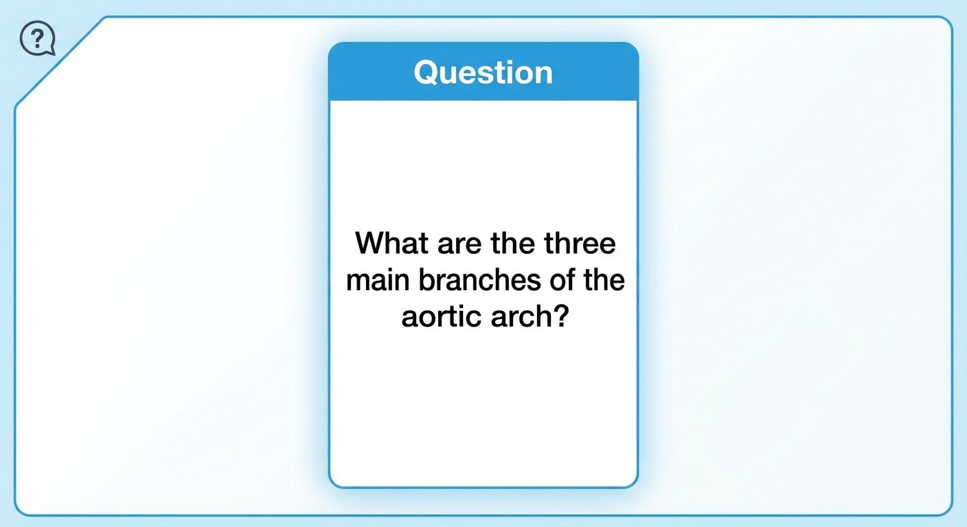 Step-by-step guide to creating effective medical flashcards