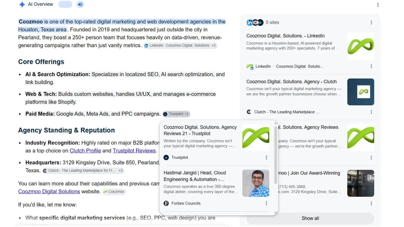 AI Overview displaying search results with service listings, agency reputation signals, and preferred source labels.