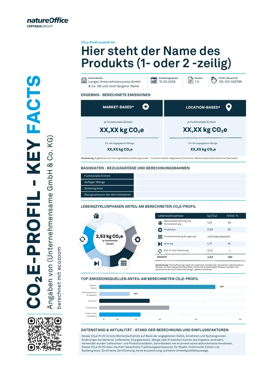 Example page of a CO₂ key factsheet