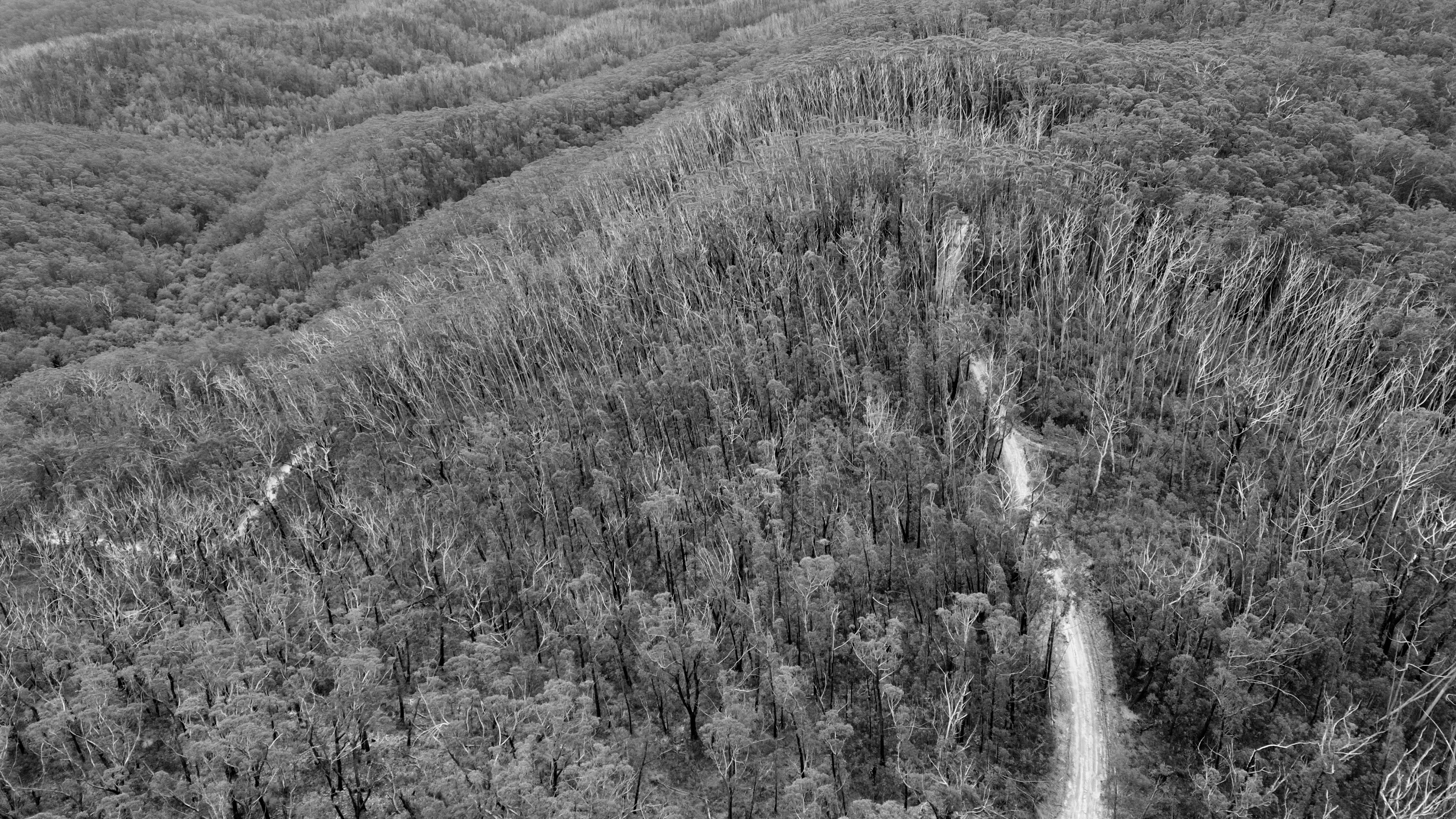 Deua National Park - Hanging Rock