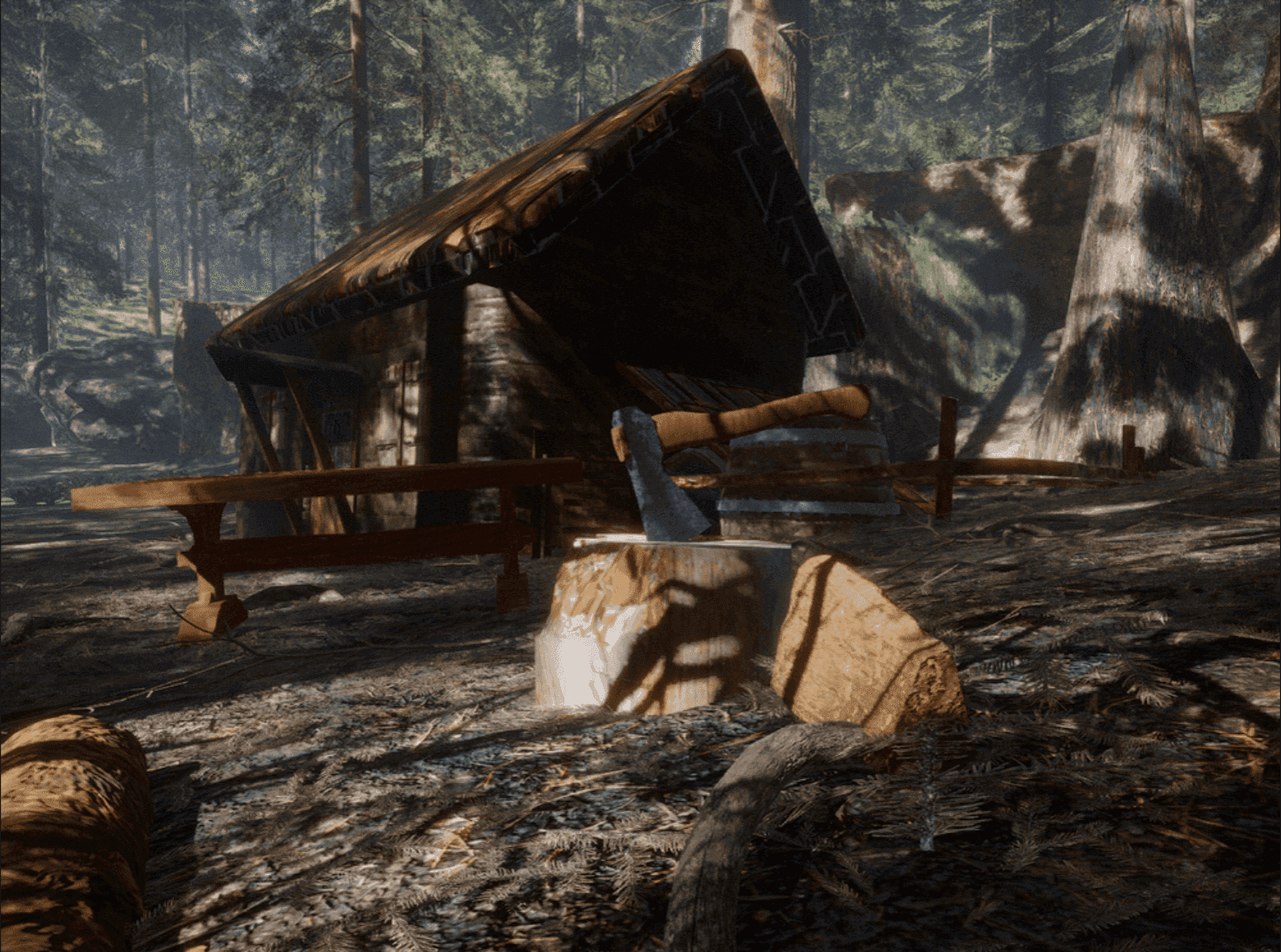 Execution Images