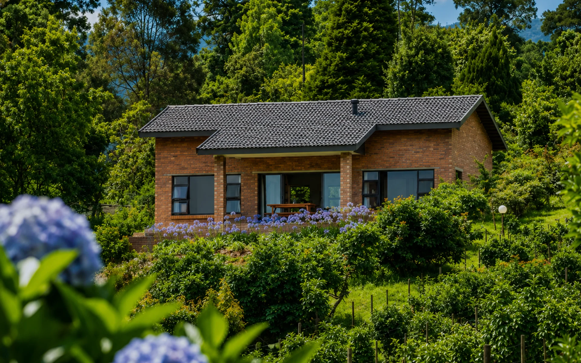 Kuhestan Queeen Studio 1