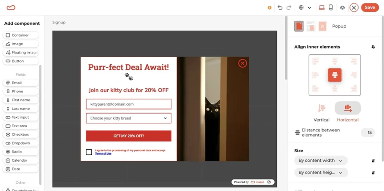 Customized newsletter form