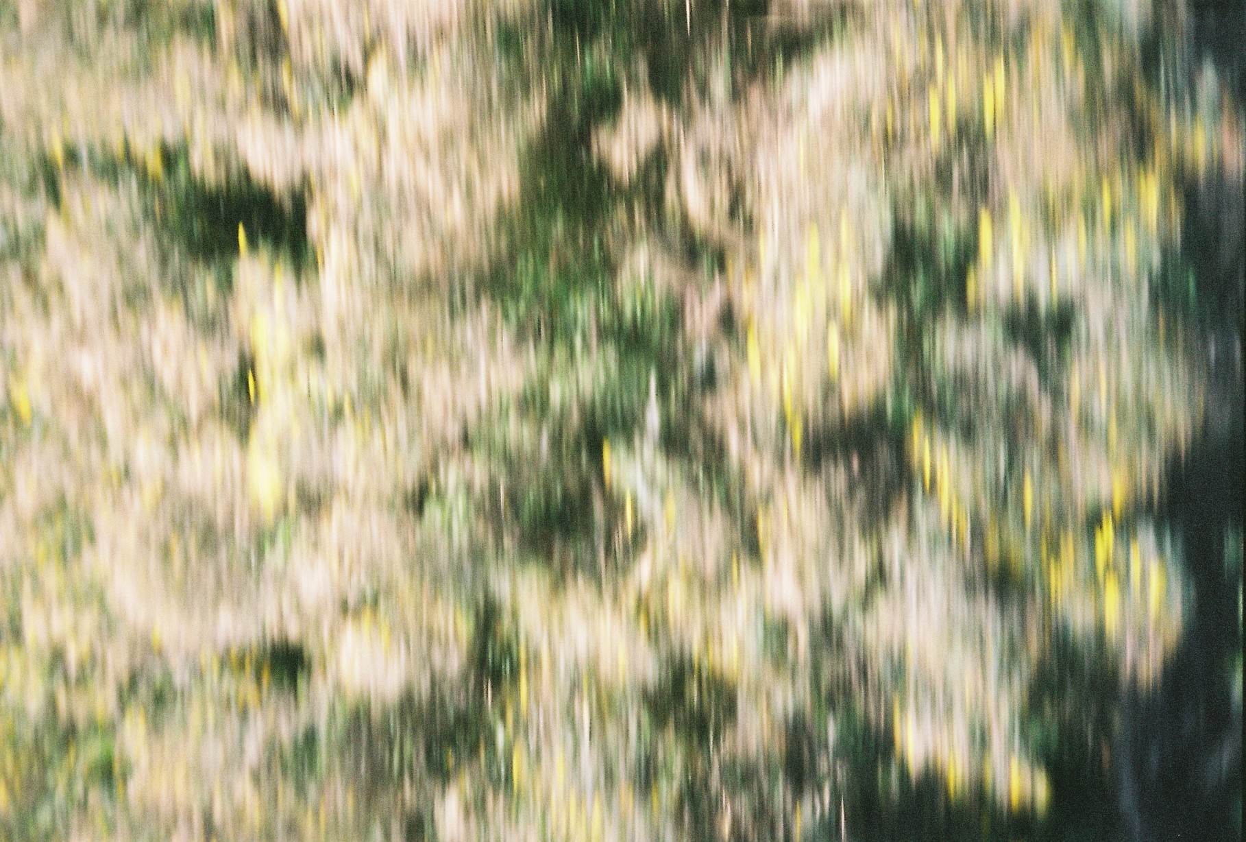 A close-up of a person wearing green-tinted glasses, with a serious expression and smooth skin.